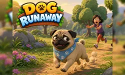 Dog Runaway