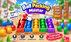 Ball Packing Master Puzzle – Fill Box