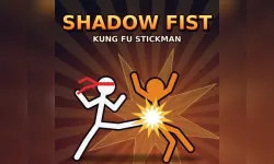 Shadow Fist   Kung Fu
